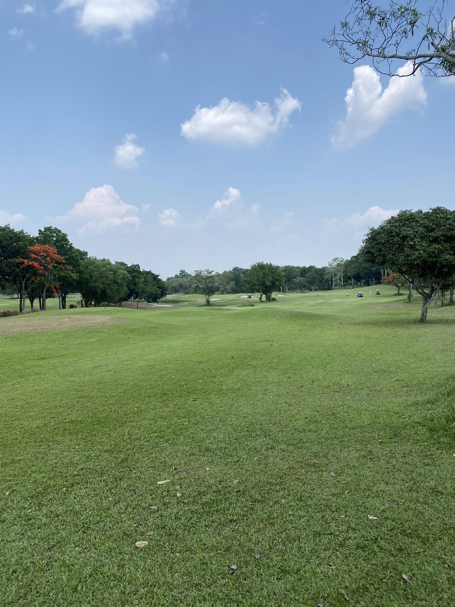 Golf course near Jomtien Pattaya Thailand